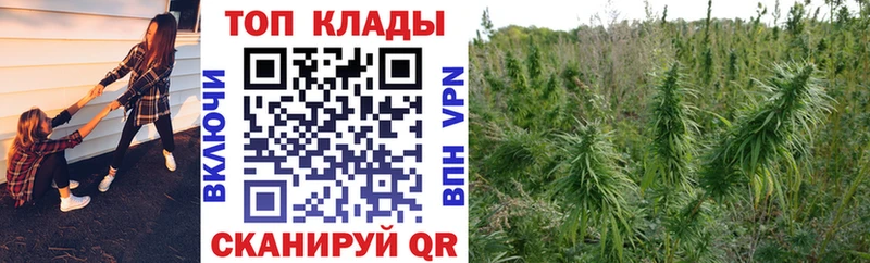 Наркота Волгодонск ГАШИШ  Галлюциногенные грибы  МЕФ  АМФЕТАМИН  Кокаин  А ПВП 