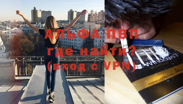 альфа пвп Елизово