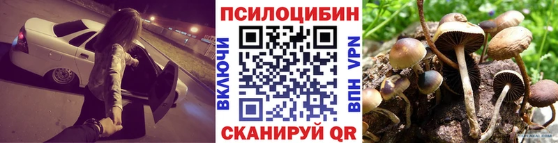 Галлюциногенные грибы GOLDEN TEACHER  kraken   Волгодонск  цены  