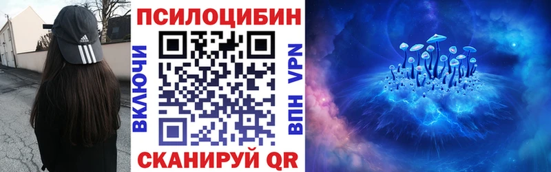 Галлюциногенные грибы Psilocybine cubensis Волгодонск